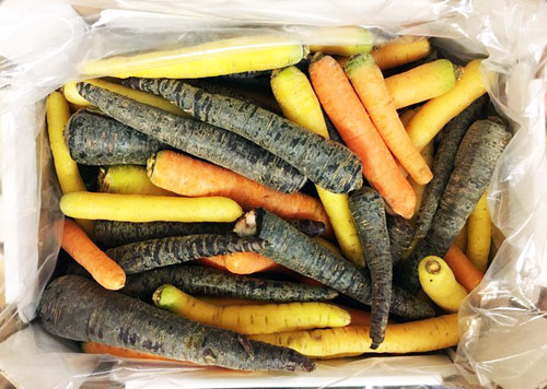 Photo of rainbow carrots, a rich source of beta-carotene - a super nutrient