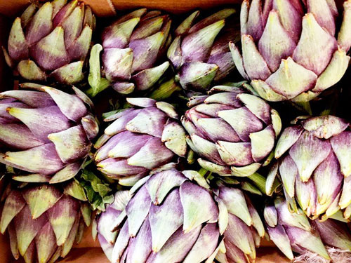 Photo of purple artichoke - one of the most nutritious vegetables you can get your hands on